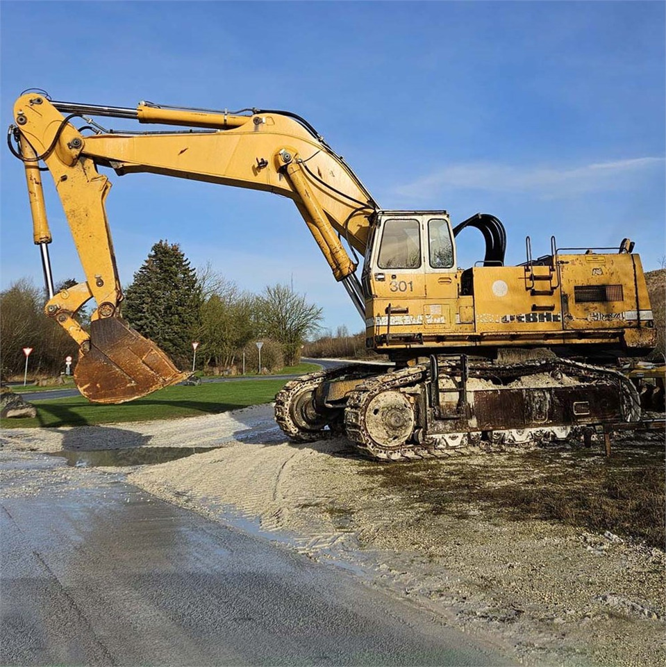 Liebherr R984 - Ερπυστριοφόρος εκσκαφέας: φωτογραφία 2 Liebherr R984 - Ερπυστριοφόρος εκσκαφέας: φωτογραφία 2
