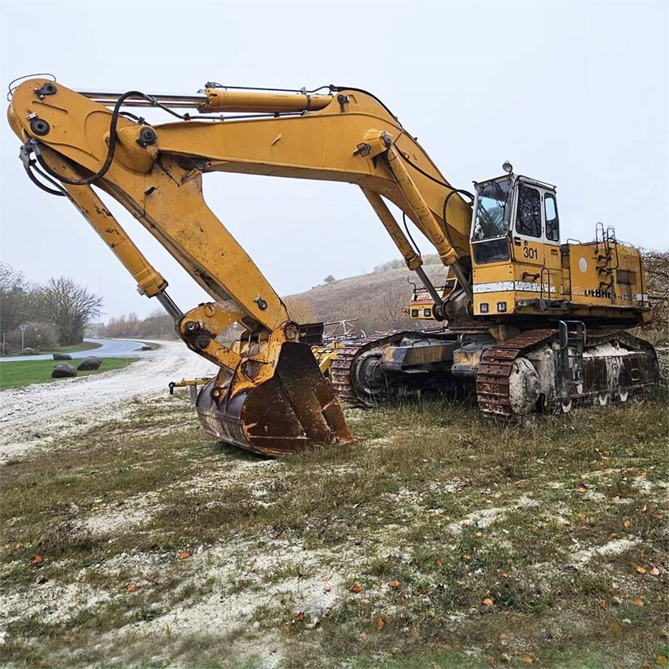 Liebherr R984 - Ερπυστριοφόρος εκσκαφέας: φωτογραφία 5 Liebherr R984 - Ερπυστριοφόρος εκσκαφέας: φωτογραφία 5