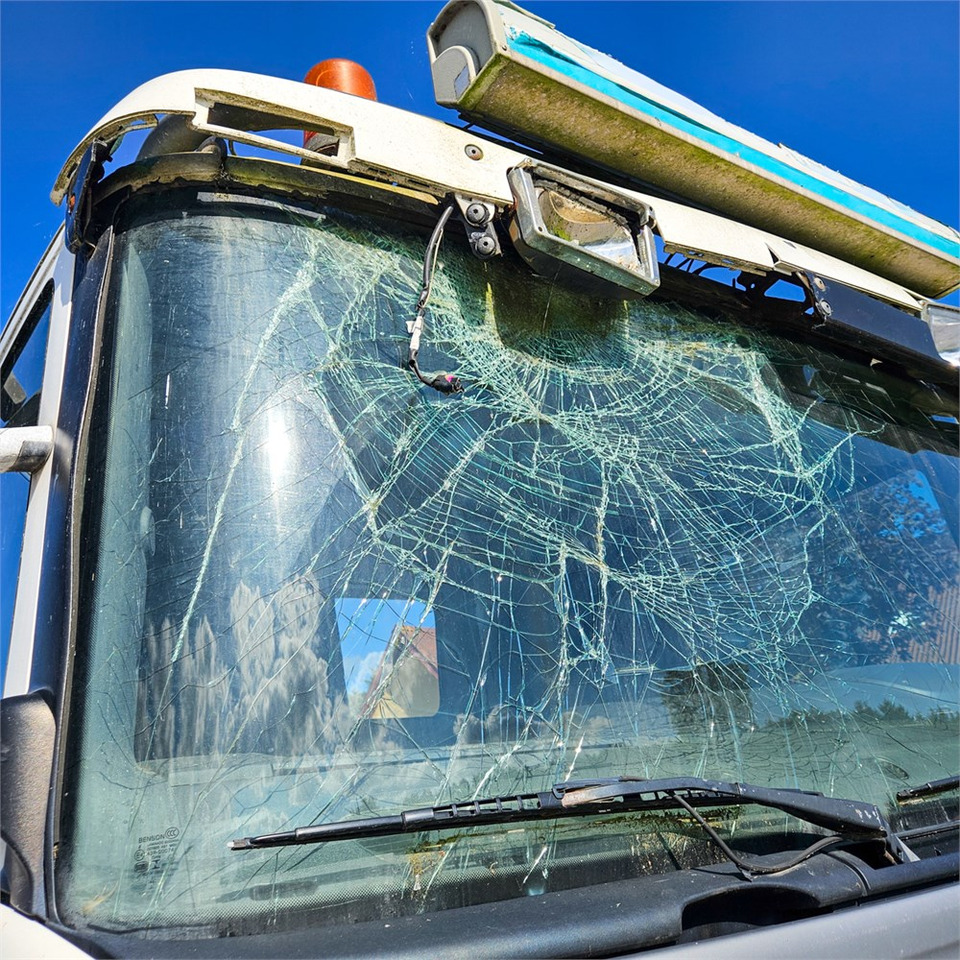Φορτηγό με σύστημα καλωδίων Scania P310: φωτογραφία 33