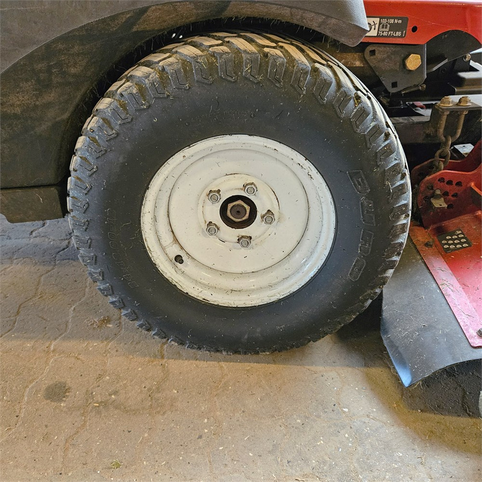 Leasing Toro 31975 Toro 31975: φωτογραφία 28