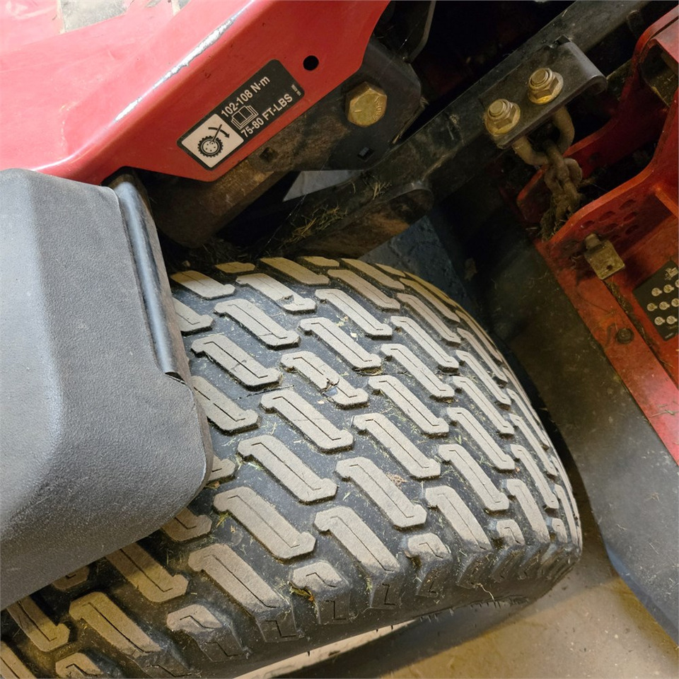 Leasing Toro 31975 Toro 31975: φωτογραφία 29