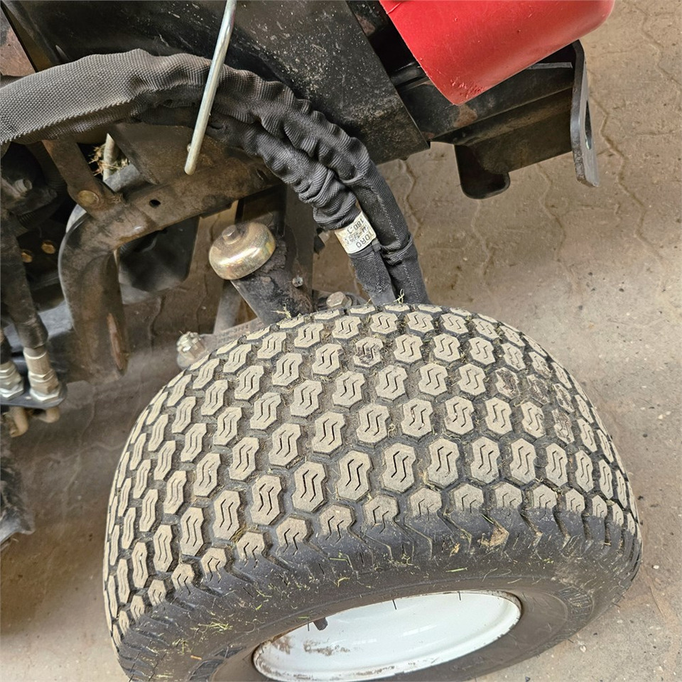 Leasing Toro 31975 Toro 31975: φωτογραφία 33