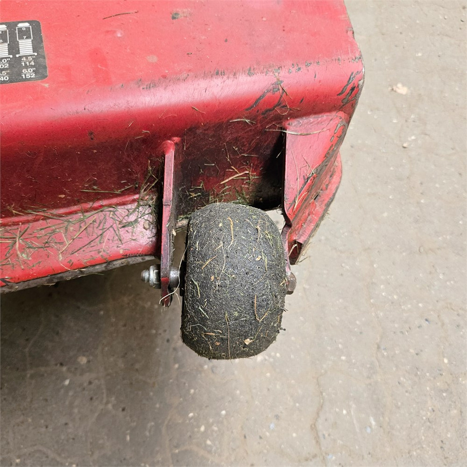 Leasing Toro 31975 Toro 31975: φωτογραφία 40