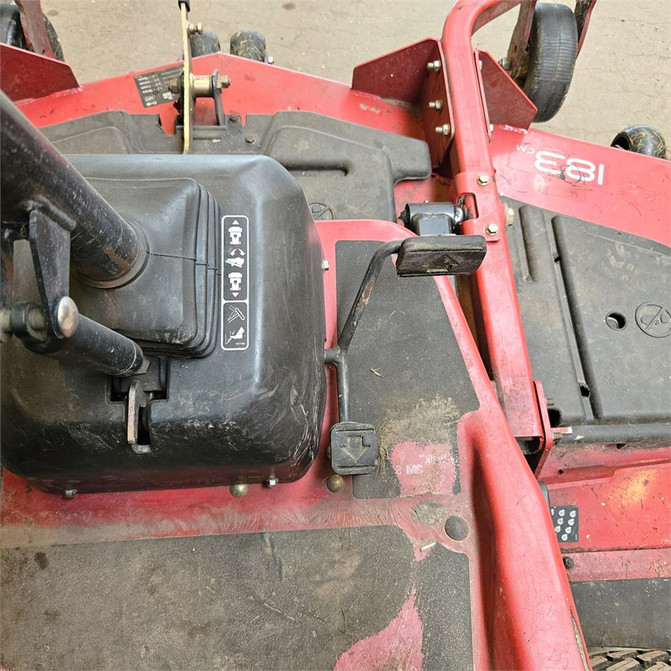 Leasing Toro 31975 Toro 31975: φωτογραφία 18