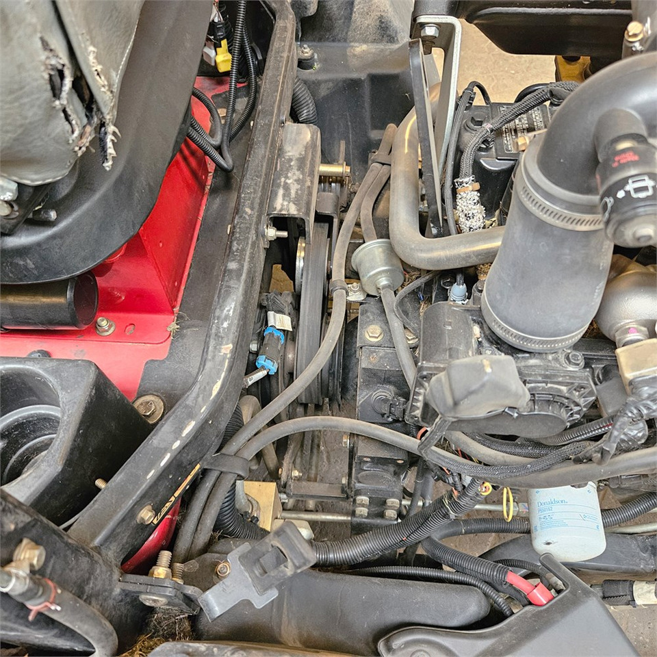 Leasing Toro 31975 Toro 31975: φωτογραφία 23