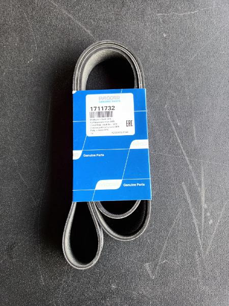 DAF MULTIBELT 1711732 - Ιμάντας για Φορτηγό: φωτογραφία 1 DAF MULTIBELT 1711732 - Ιμάντας για Φορτηγό: φωτογραφία 1