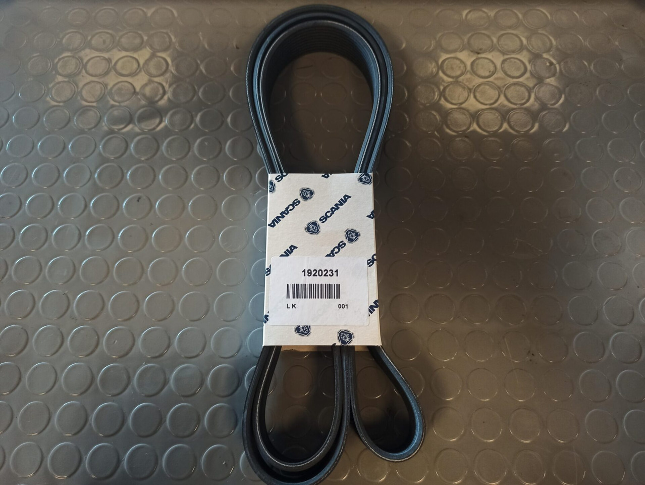 SCANIA POLY-V-BELT - 1920231 - Ιμάντας για Φορτηγό: φωτογραφία 1 SCANIA POLY-V-BELT - 1920231 - Ιμάντας για Φορτηγό: φωτογραφία 1