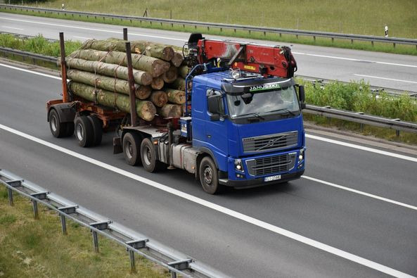 VOLVO FH16 700 6×4 - Φορτηγό ξυλείας: φωτογραφία 2 VOLVO FH16 700 6×4 - Φορτηγό ξυλείας: φωτογραφία 2