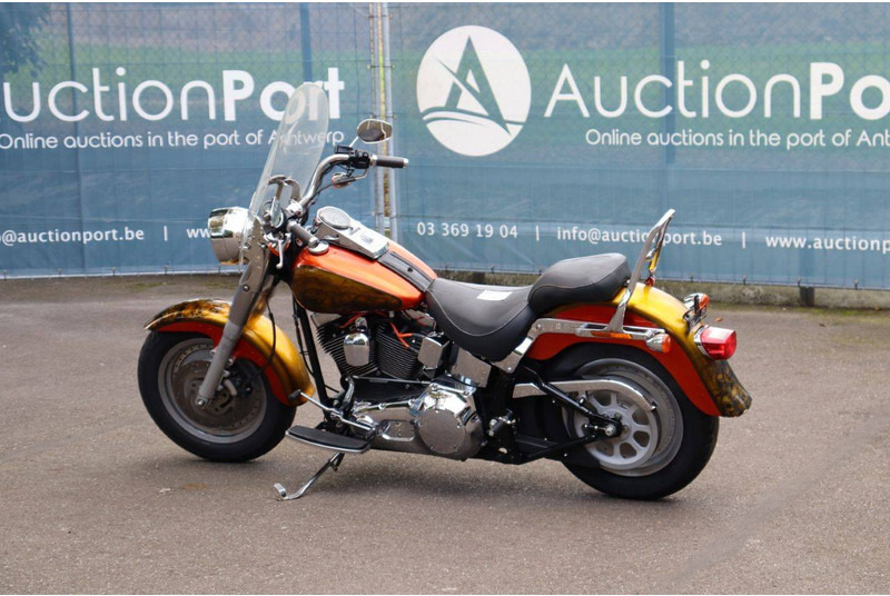 Harley-Davidson Fat Boy Softail - Μοτοσικλέτα: φωτογραφία 3 Harley-Davidson Fat Boy Softail - Μοτοσικλέτα: φωτογραφία 3