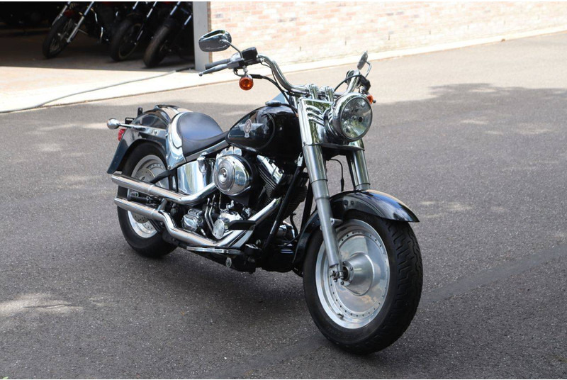 Μοτοσικλέτα Harley-Davidson Fat Boy: φωτογραφία 7 Μοτοσικλέτα Harley-Davidson Fat Boy: φωτογραφία 7