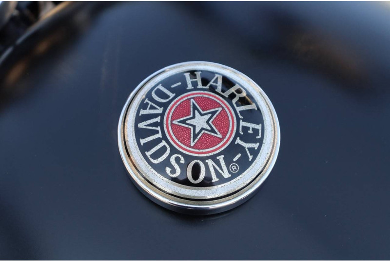 Μοτοσικλέτα Harley-Davidson SPORTSTER XL1200 CUSTOM: φωτογραφία 20