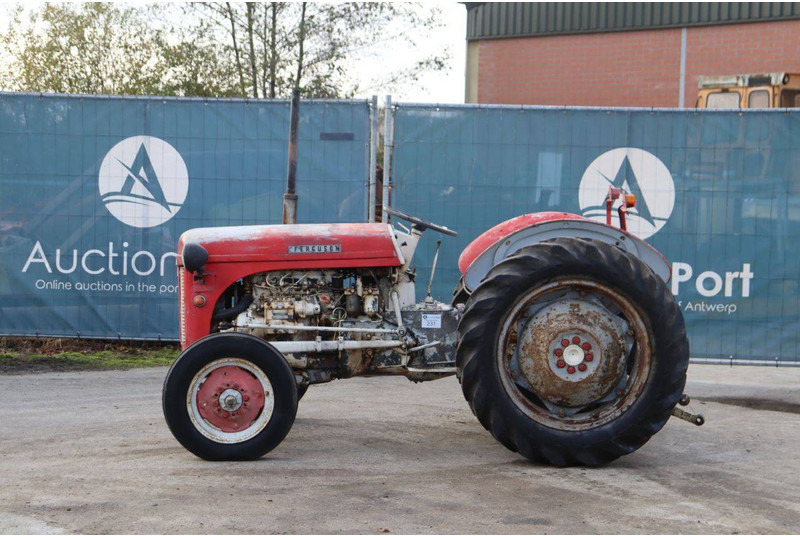 Massey Ferguson Ferguson Vintage Tractor - Τρακτέρ: φωτογραφία 2 Massey Ferguson Ferguson Vintage Tractor - Τρακτέρ: φωτογραφία 2