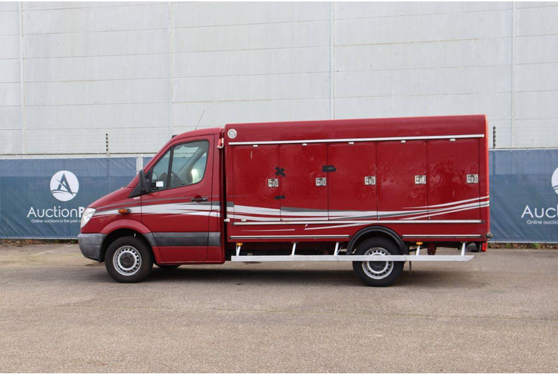 Mercedes-Benz 313CDI - Επαγγελματικό αυτοκίνητο κόφα: φωτογραφία 3 Mercedes-Benz 313CDI - Επαγγελματικό αυτοκίνητο κόφα: φωτογραφία 3