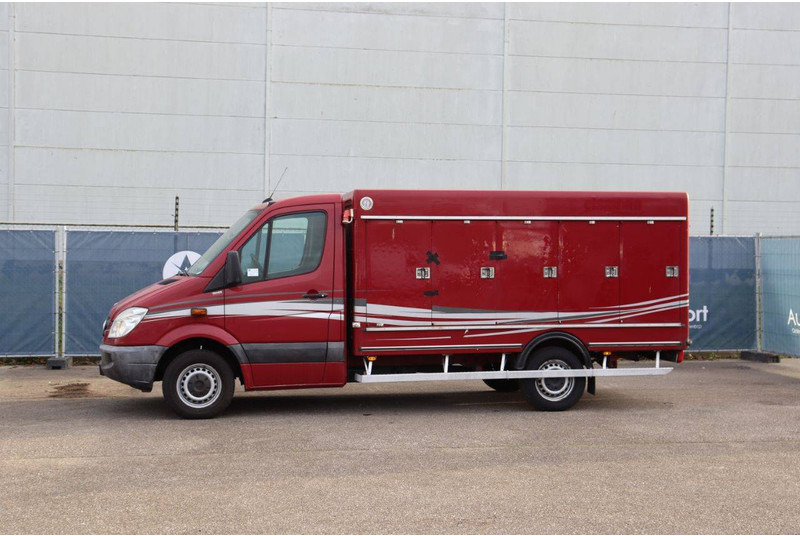 Mercedes-Benz 313CDI - Επαγγελματικό αυτοκίνητο κόφα: φωτογραφία 1 Mercedes-Benz 313CDI - Επαγγελματικό αυτοκίνητο κόφα: φωτογραφία 1