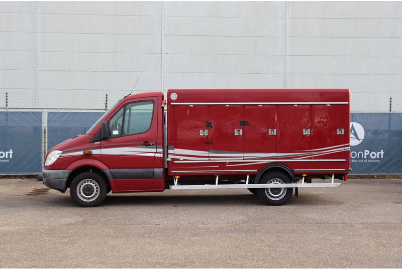 Mercedes-Benz 313CDI - Επαγγελματικό αυτοκίνητο κόφα: φωτογραφία 2 Mercedes-Benz 313CDI - Επαγγελματικό αυτοκίνητο κόφα: φωτογραφία 2