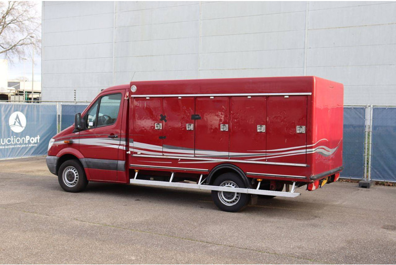 Mercedes-Benz 313CDI - Επαγγελματικό αυτοκίνητο κόφα: φωτογραφία 4 Mercedes-Benz 313CDI - Επαγγελματικό αυτοκίνητο κόφα: φωτογραφία 4