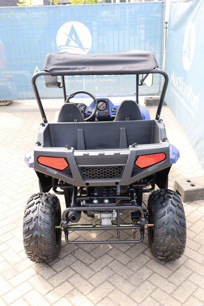 Wextrem UTV-ATV 200Pro - Αμαξίδιo του γκολφ: φωτογραφία 4 Wextrem UTV-ATV 200Pro - Αμαξίδιo του γκολφ: φωτογραφία 4