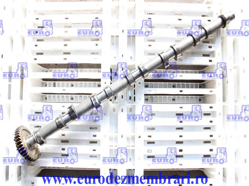 AX CU CAME MAN TGX D26 51.04401.5089, 51.04401.1023, 51.04401.5127, 51.04401.5164 - Εκκεντροφόρος άξονας για Φορτηγό: φωτογραφία 1 AX CU CAME MAN TGX D26 51.04401.5089, 51.04401.1023, 51.04401.5127, 51.04401.5164 - Εκκεντροφόρος άξονας για Φορτηγό: φωτογραφία 1
