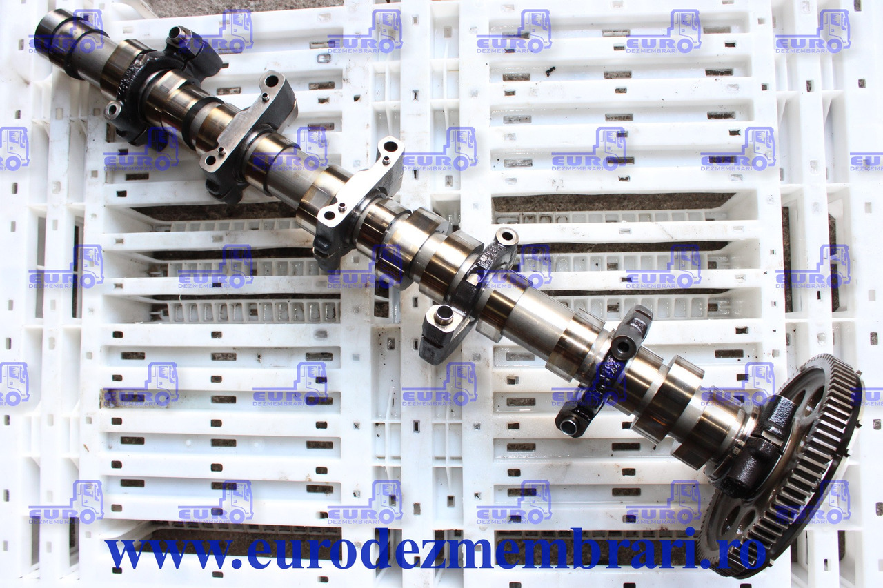 AX CU CAME RENAULT DTI11 21745877 - Εκκεντροφόρος άξονας για Φορτηγό: φωτογραφία 1 AX CU CAME RENAULT DTI11 21745877 - Εκκεντροφόρος άξονας για Φορτηγό: φωτογραφία 1