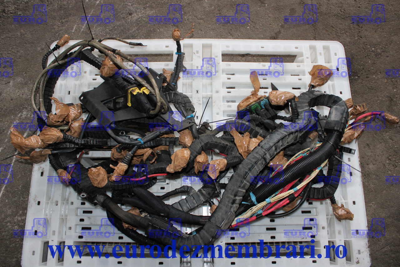 INSTALATIE ELECTRICA MOTOR DAF XF106 MX-13 2032798 - Ηλεκτρικό σύστημα για Φορτηγό: φωτογραφία 1 INSTALATIE ELECTRICA MOTOR DAF XF106 MX-13 2032798 - Ηλεκτρικό σύστημα για Φορτηγό: φωτογραφία 1