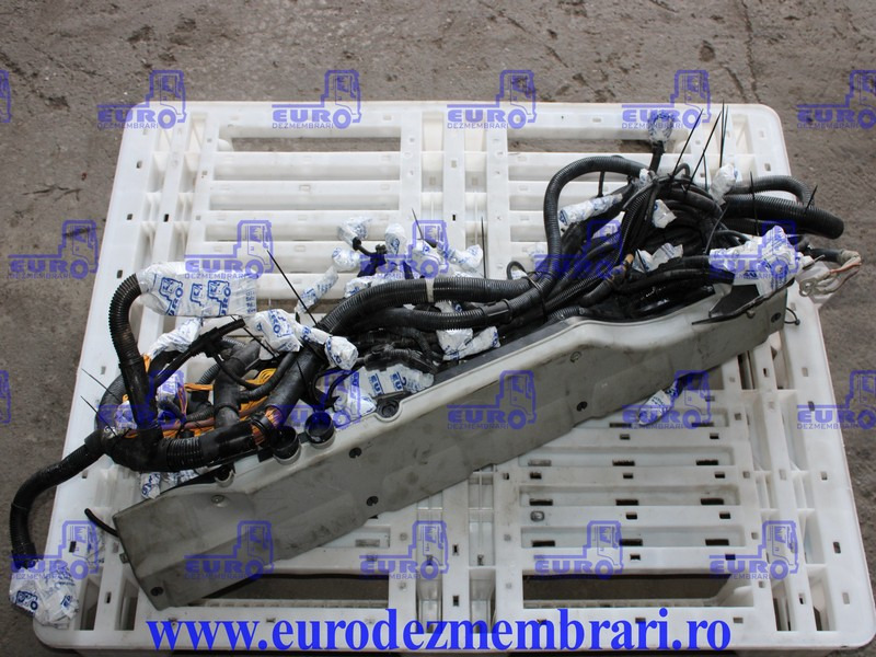 INSTALATIE ELECTRICA MOTOR MAN D2676 LF51 81.25459.6956 - Καλώδιο/ Σύρματα για Φορτηγό: φωτογραφία 1 INSTALATIE ELECTRICA MOTOR MAN D2676 LF51 81.25459.6956 - Καλώδιο/ Σύρματα για Φορτηγό: φωτογραφία 1