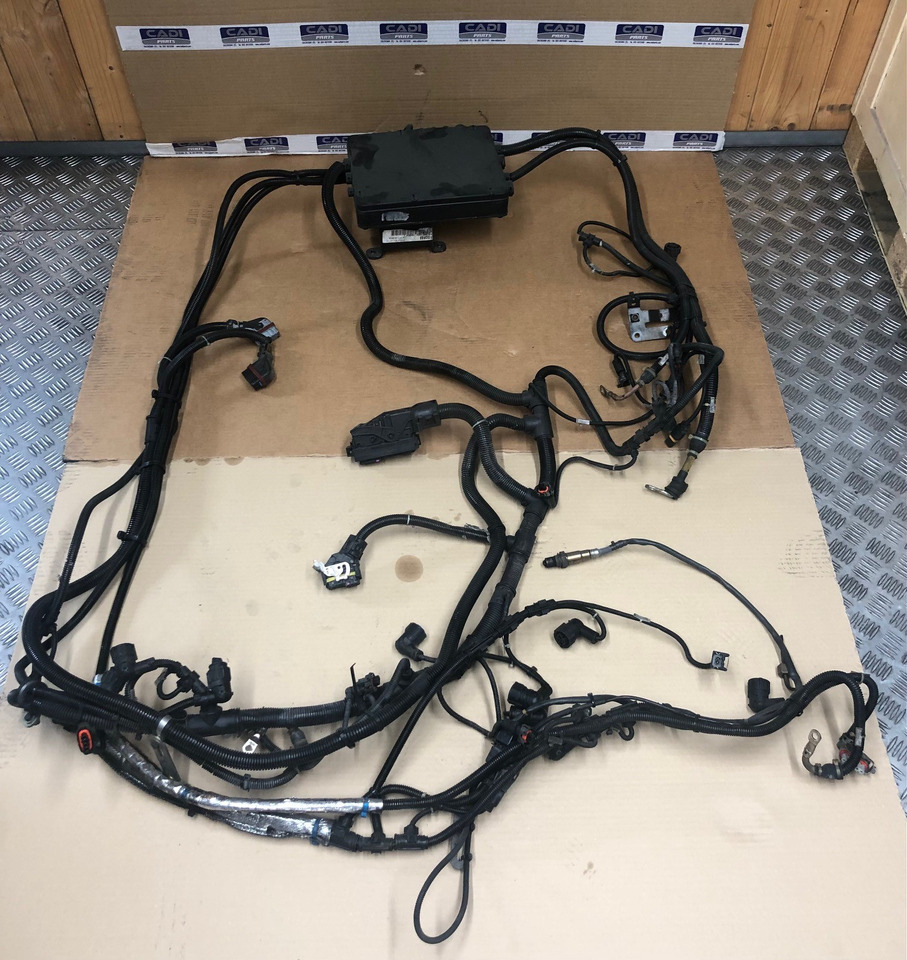 FASCIA CAVI MOTORE MAN 81254246448 - Καλώδιο/ Σύρματα για Φορτηγό: φωτογραφία 1 FASCIA CAVI MOTORE MAN 81254246448 - Καλώδιο/ Σύρματα για Φορτηγό: φωτογραφία 1